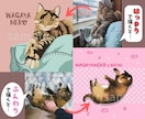 あなたの【我が家猫】可愛いイラストにします 愛猫を「はっきり」or「ふんわり」お好みのテイストで描きます イメージ4