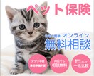 バナー広告のデザインを作成します ご要望に沿ったデザインや色合いを作成します！ イメージ1