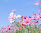 外出の少ない高齢者様 ！とことんお話し聴きます 現役介護士、私が優しく親身に寄り添います イメージ2