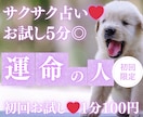お試し♡5分でサクッと、運命の人を占います 【4月末まで♡1分200円→100円初回限定】短時間OK♡ イメージ1