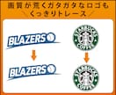 画像や手書、イラストなどAIデータ作成します 最短！即レス！丁寧にトレースします！ イメージ2