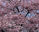 お悩み相談などに答えます 皆様のお話をお聞かせください。 イメージ1