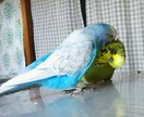 話し相手、愚痴聞き、相談にのります 日頃の悩み、ストレスを話してみませんか？(^ー^) イメージ2