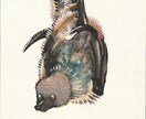 動物の絵を描きます ペットをアートにしてみませんか？ イメージ10