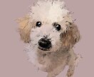 あなただけのペットアートを描きます 力強い鉛筆の線と水彩で仕上げます！ イメージ7