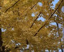 小さな保健室|チャットで安心じっくり相談にのります 話すことがつらい時も、チャットなら大丈夫です。 イメージ1
