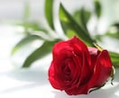 心の糸を紡ぐ縁結びヒーリングをします 大切な縁を結び直し、未来へ繋ぎます イメージ8