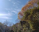 あなたのお話聞きます 誰かに伝えたい時、何でも少しでも、お話ください イメージ1