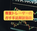 理論に基づいてFXで稼ぐ方法を動画で教えます FXの極意を動画で徹底解説。聖杯探しに終止符を打て！ イメージ1