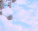 男心☘男の発言・行動心理☘お伝えします 恋愛/失恋/復縁/不倫/浮気/片思い/愚痴/不満 イメージ7
