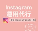 集客・売上につながるアカウント運用をサポートします あなたのInstagramアカウント運用をサポートします。 イメージ1