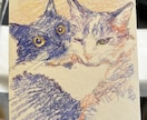 色鉛筆でペットの似顔絵ポストカード制作します 色鉛筆で雰囲気のある色味の似顔絵を描きます！ イメージ8