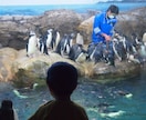 大人も楽しむ！乳幼児連れ国内旅行のプラン立てます 4歳0歳のママだから、実際に子連れ旅行してるからできる！ イメージ7