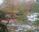 日本一の紅葉香嵐渓のお写真提供します イメージ2