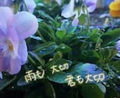 スピリチュアル難民脱出行手伝います 1週間やりとり放題！本当の自分を知りたい、向き合いたい方限定 イメージ5