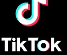 TikTokの台本作成致します 今最もすべきSNSのTikTok、Bestな物を作りましょう イメージ1