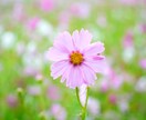 あなたの闇を聞き取ります どんな人生も最後は自分で決めるんだ。 イメージ1
