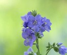 ママ友☆怖くて辛い☆ストレス発散☘️付き合います しんどい、困ったママ友♦️対策必要⭐️バッチリお助け❤️ イメージ6