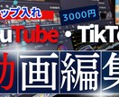 テロップ入力致します 低価格！高品質！最短３日で作成致します。 イメージ1