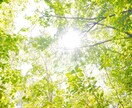 活かそう！あなたのその能力と経験を✽応援します 行動力・決断力・表現力・自信など、本来の力を発揮したい方へ イメージ1