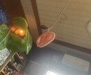 誰かと気兼ねない会話をしたい方！私が聞きます 「ちょっと変わった話もできる、気楽な相談相手」☆♪ イメージ10