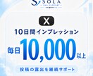 Xのインプを10日間毎日1万以上増やします 10日間毎日1万以上｜投稿の露出を継続支援 イメージ1