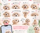 ペットの写真からうちの子LINEスタンプを作ります 大切なうちの子を世界にひとつのLINEスタンプに♡ イメージ2