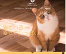 studioでランディングページ制作します 個人、起業、独立して頑張るあなたを全力でサポートします！！ イメージ7