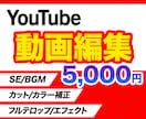 YouTubeの動画編集をします フルテロップ込み｜無料修正回数3回 イメージ1