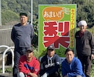 特定技能の外国人受入れを農園経営者が相談にのります 実際に外国人を雇用・支援している現場経験でお答えします イメージ2