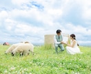 北海道ロケプラン✈️ウエディングフォトを撮影します 北海道の絶景で、心に残るウエディングフォト イメージ4