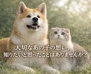 あなたのペットが今どう感じているかお伝えします 今そばにいる子もお空の子も☆不安や後悔の理由をお伝えします イメージ1