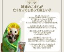 1枚引きで大切な家族の気持ちを占います タロットカード：ペットちゃんの気持ち占い イメージ4