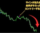 あと1個限定価格　FXサインツールを提供します 手法マニュアル ＋ MT4オリジナルインジケーターのセット イメージ8