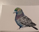 写真から描くオイルパステル画ペットの似顔絵描きます 原画郵送＆SNSで使えるデジタルデータ付き、一発描き） イメージ3