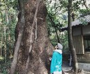 お気楽坊主がどの様なお話しでもお伺いします 挫折も成功も孤独も愛情も不信も信頼も噛みしめてきました♪ イメージ1