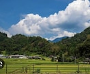 失敗しない❗️地方移住•田舎暮らしへご案内します 自身も移住者•古民家田舎暮らしの不動産コンサルタントです✨ イメージ2