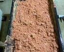 グレ釣りのコツを教えます 数々のグレ釣りトーナメントで戦ってる釣り方です イメージ2