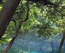 流産・中絶の悩みや死産でお別れした気持ちを支えます 言葉にできない気持ち、寄り添って受け止めます イメージ1