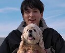 オンラインで犬のトレーニングを行います しつけ・トレーニングのアドバイス可能！　30分3000円 イメージ2