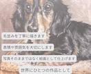 写真からペットの似顔絵を手描きします 大切なペットを絵画のような手描き作品に イメージ3