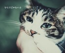 今宵のお相手いたします ♡眠れぬ夜の友に♡週末の晩酌のお相手に♡ イメージ5