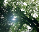 日本の神様たちからお言葉を伺います カード（とダウジング）で、アナタの背中をちょこっと後押し♪ イメージ3