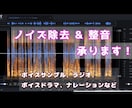 最短2日！音声の整音、ノイズ除去など承ります 高精度のノイズ除去で、声をもっと魅力的に！ イメージ1