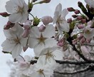 相談、愚痴何でも聞きます 相談者さんに寄り添いお話しをお聞きします。 イメージ1