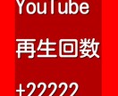 YouTubeの動画を22222回再生増やします 全世界に動画拡散で宣伝効果あり！ イメージ1