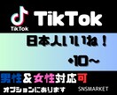 TikTok日本人いいね！拡散、宣伝して増やします 日本人アカウントから手動でいいね★注目あびる★いいね！+10 イメージ1