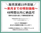 来月までの特別価格！職務経歴書/履歴書の作成します 簡単なヒアリング◎経験豊富なキャリアコンサルタントが作成代行 イメージ1