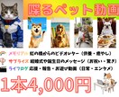 ペットが喋る、動くAIペット動画制作します 写真と台本だけ。大切なペットが表情豊かにメッセージを届けます イメージ3