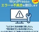 WordPressのエラーや不具合を復旧します サイトの状態を確認し適切な復旧を行います(最短1時間) イメージ1